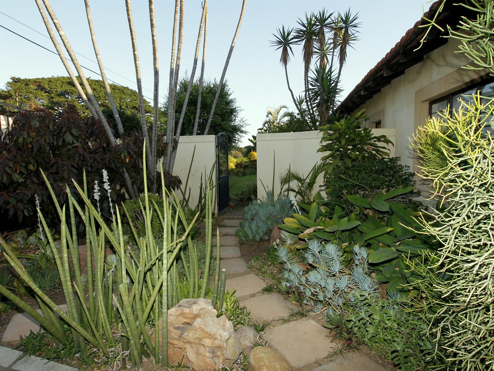 Casa Ridge Self-Catering Hotel Durban Kültér fotó